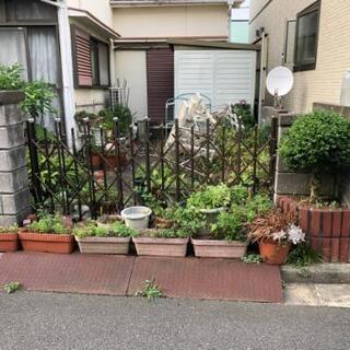 植木鉢の画像
