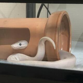 友達募集です(^-^) - 友達