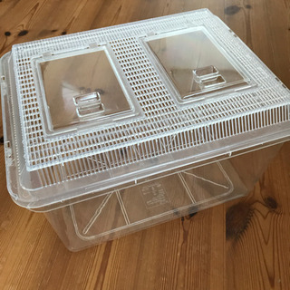 【終了】プラスチック飼育カゴ　特大　窓2個　購入2カ月、ほぼ未使用