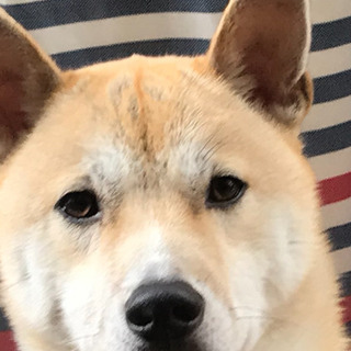 健康でよく寝ます！