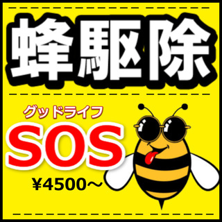 三重郡　蜂駆除　お気軽にお問い合わせ 下さ￥4500～