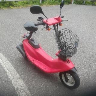 ホンダズーク