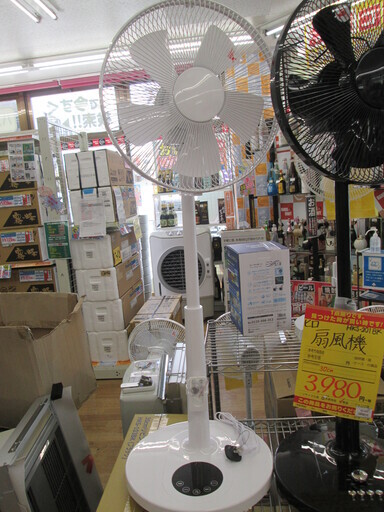 ヒロ　扇風機　HKS-202RWH　新品