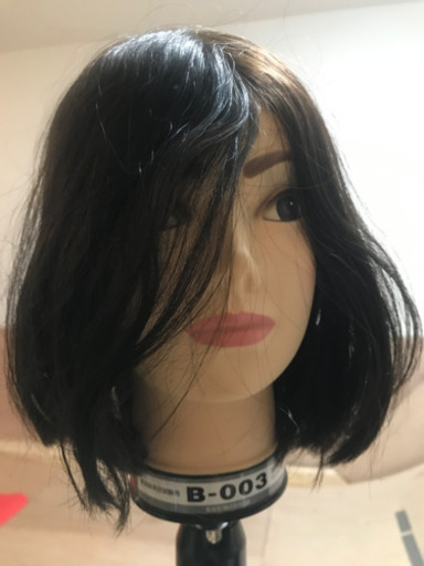 カットウィッグ
