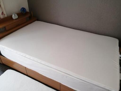 トゥルースリーパー　譲ります
