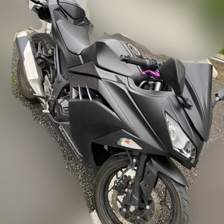 Ninja250 