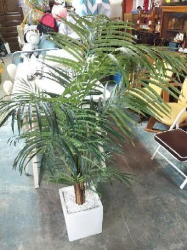 ［岩や 光触媒 観葉植物］：リサイクルショップヘルプ