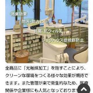 ［岩や 光触媒 観葉植物］：リサイクルショップヘルプの画像