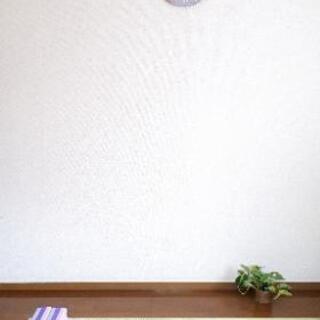 高松　おうちヨガ🏠　オンラインで安全に🎵未経験者大歓迎🙌女性のた...