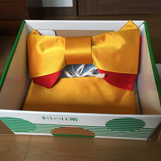 これからの季節‼︎