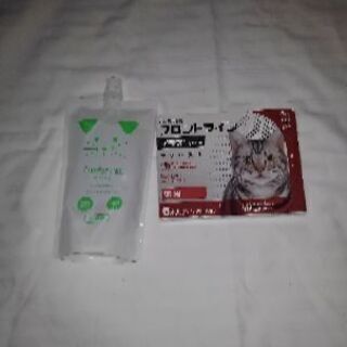 プラスキャットとカンファペット
