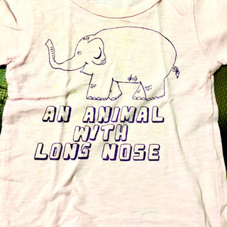 100サイズの画像