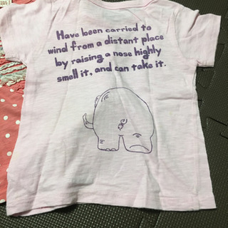 100サイズの画像