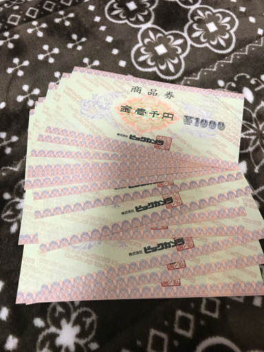 ビックカメラ 商品券 22枚