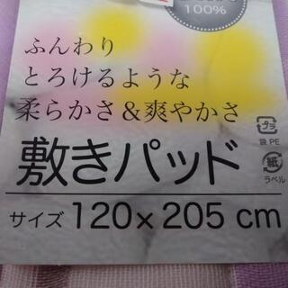 ✨新商品入荷✨ﾓﾘﾘﾝ　敷きパッド　120×205の画像