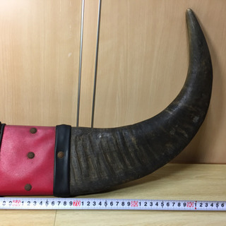 【オブジェ】水牛 バッファロー 角 置物 オブジェ アンティークの画像