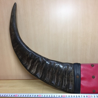 【オブジェ】水牛 バッファロー 角 置物 オブジェ アンティークの画像