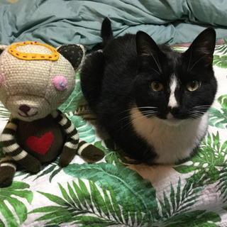 ハンドメイド 仲間🧵募集中です。 - 小平市