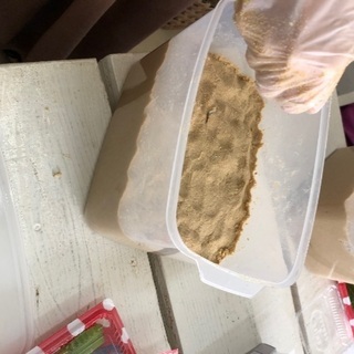 初めてのぬか床作り講座第二回☆週末開催です‼︎の画像