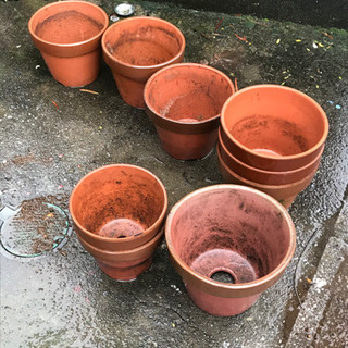 お取引感謝【０円】植木鉢差し上げます。