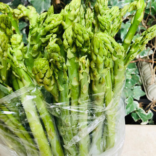 野菜　ふぞろいアスパラ　10本位　5束限定
