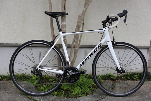 MERIDA SCULTURA 400 (2019) 54cm メリダ スクルトゥーラ