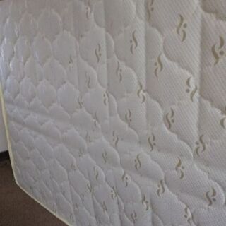 お引取で限定⚫️ベットマット(シングル)の画像