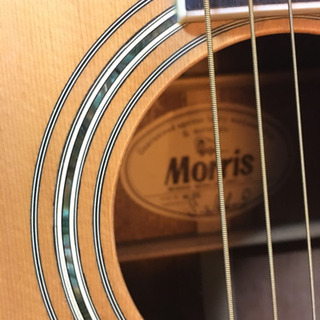 モーリスのアコギ　Morris　今日、明日お取引できる方の画像