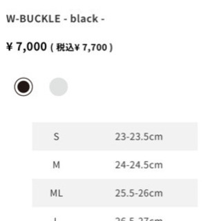 テリック  リカバリーサンダル　L 美品の画像