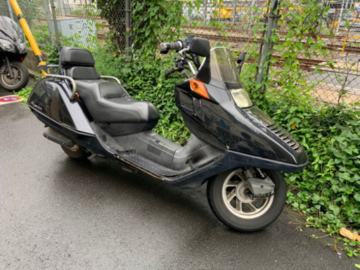 現役　フュージョン  mf02 学割あり