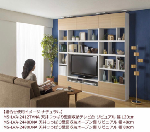 壁面収納 テレビ台 50V型対応 50型50インチ