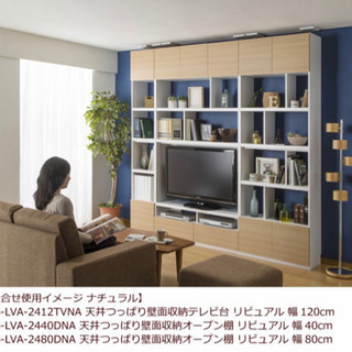 壁面収納 テレビ台 50V型対応 50型50インチ