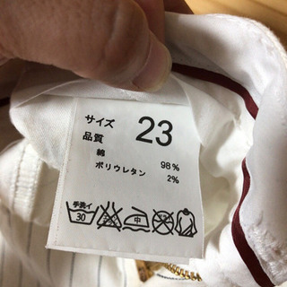 ストライプスキニーの画像