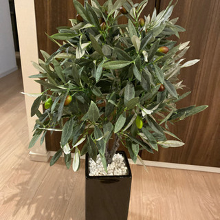 人工観葉植物　ニトリ