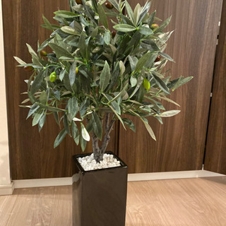 人工観葉植物　ニトリの画像