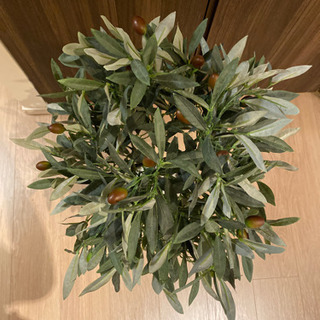 人工観葉植物　ニトリの画像