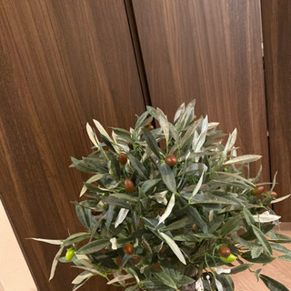 人工観葉植物　ニトリの画像