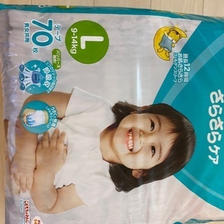 【商談中】パンパス　テープ　Ｌサイズの画像