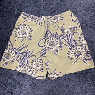 パタゴニア　バギーズ　パンツ　サイズSの画像