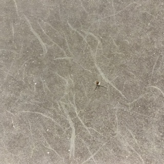 ワーロンの画像