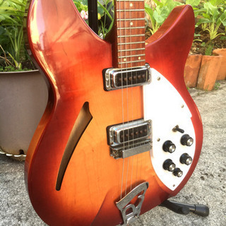 Rickenbacker   Model 330 /代理出品の画像