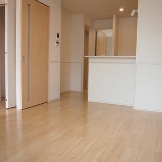 【ワンちゃんと住めるでーじ綺麗な物件♪目の前にセブンイレブン建設...