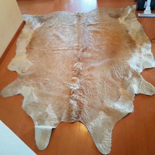 大判動物マット