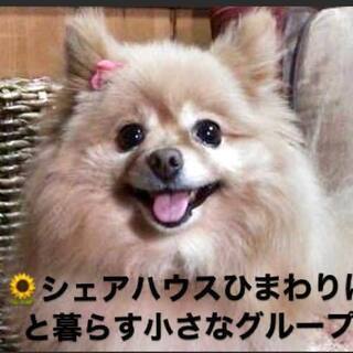 時給1600円～週2日～OK保護犬と暮らす小さなグループホームのサービス管理責任者募集（パート）の画像