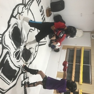 総合格闘技道場　team sfidareの画像