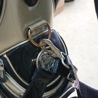 キャディーバッグ無料の画像