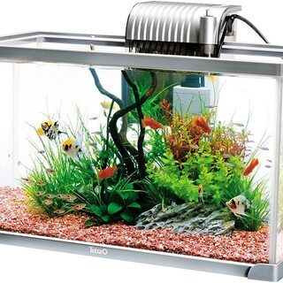 中古　水槽一式