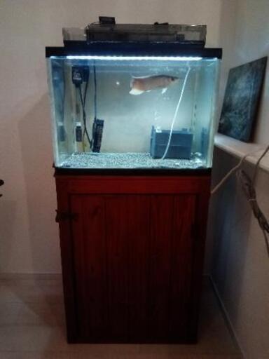 60センチワイド水槽セット