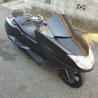 マグサム の画像