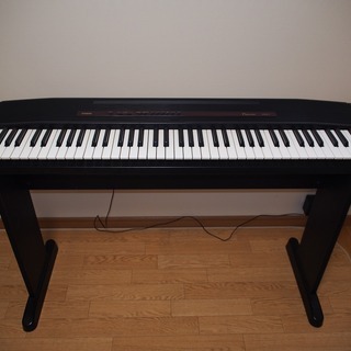 ★CASIO カシオ★Piacere ピアチェーレ CPS-7 ...